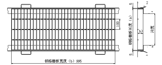 侧沟盖和横断沟盖图